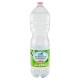 ACQUA SAN BENEDETTO NATURALE LT.2