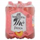THE' SAN BENEDETTO PESCA PET LT.1,5