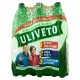 ACQUA ULIVETO EFFERV.NAT. PET LT.1,5