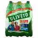 ACQUA ULIVETO EFFERV.NAT. PET LT.1,5