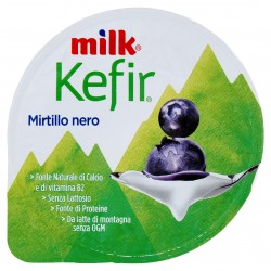 YOGURT MILK KEFIR CREMOSO MIRTILLO GR.150
