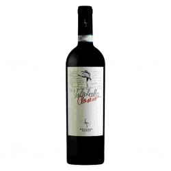 VINO VALPOLICELLA CLASSIC DOC 2022 BIO CL.75 SEC.M