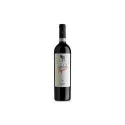 VINO VALPOLICELL CLASSIC SUP.DOC RIPASS 2019 CL.75