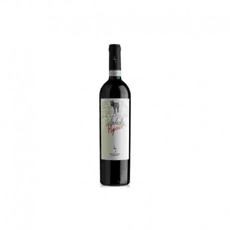 VINO VALPOLICELL CLASSIC SUP.DOC RIPASS 2019 CL.75