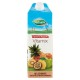 SUCCHI VALFRUTTA BRICK*VITAMIX DA ML.1500