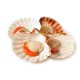 SURGELATI CAPESANTE 1/2 GUSCIO GR.800 GLASS.20%