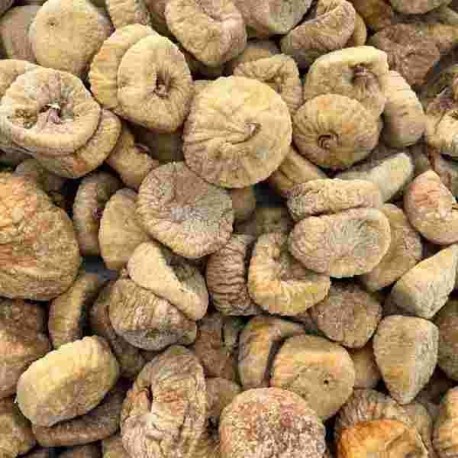 FR/S FICHI SECCHI 60/65 KG.5 OR.GRECIA
