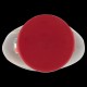 TOPPING CIOCCOLATO FABBRI GRANITA/DRINK PET GR.225