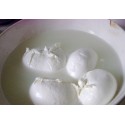 MOZZARELLA VACC.ALTRI FORMATI
