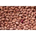 FAGIOLI LESSATI