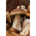 AL NATURALE FUNGHI