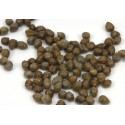 SOTTO SALE CAPPERI