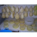 PROVOLE PASTA FILATA N/P