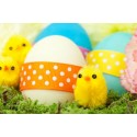UOVA DI PASQUA BIMBO/BIMBA