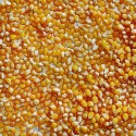 POP CORN DA SCOPPIARE