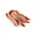 SARDINE