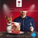 ALIMENTI CANI