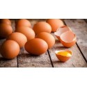 UOVA FRESCHE/CUCINA