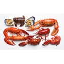 GAMBERETTI E CROSTACEI