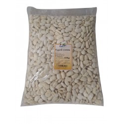 LEG/S FAGIOLI SACCO CORONA (BIAN.SP.)L/22115PLKG.5