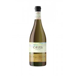 VINO FIRRIATO CAELES CATARRATTO BIANCO 2024 CL 75