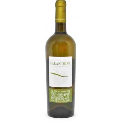 VINO DI MAJO FALANGHINA BIANCO '21 CL.75