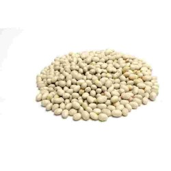 LEG/S FAGIOLI SACCO COCOS KG.25