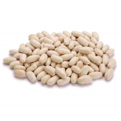 LEG/S FAGIOLI SACCO CANNELLINI KG.25